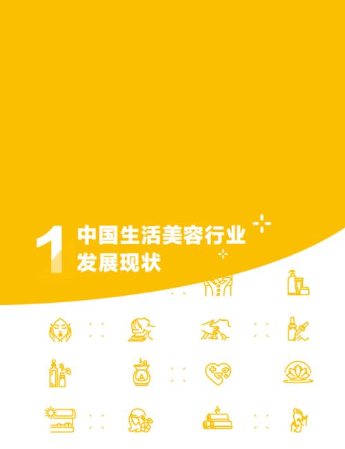 中國生活美容行業(yè)發(fā)展報(bào)告2020 服務(wù)升級(jí)與消費(fèi)新趨勢(shì)